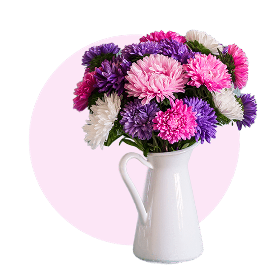 Pluk-selv-blomster i Grindsted